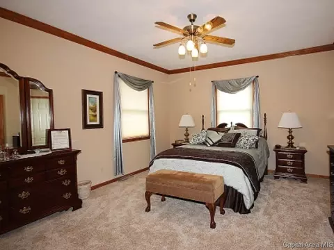 706 E Chestnut, Chatham, IL 62629 photo 10