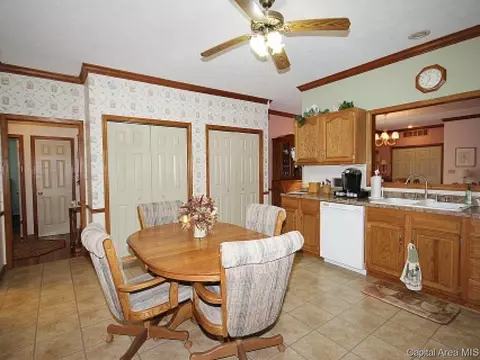 706 E Chestnut, Chatham, IL 62629 photo 7