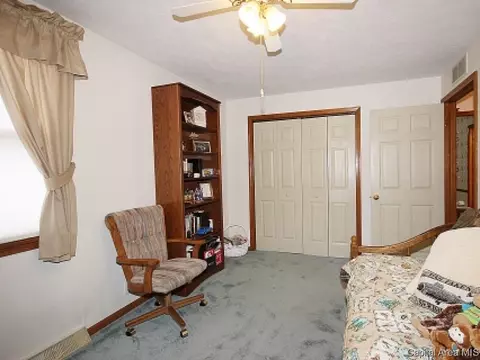 706 E Chestnut, Chatham, IL 62629 photo 19