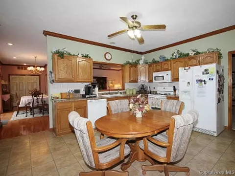 706 E Chestnut, Chatham, IL 62629 photo 6