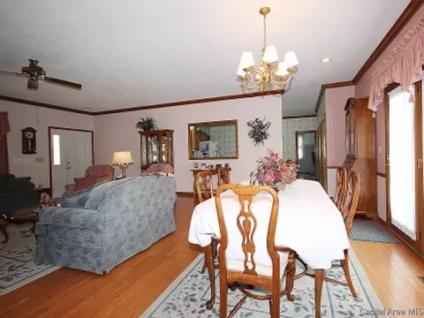 706 E Chestnut, Chatham, IL 62629 photo 5