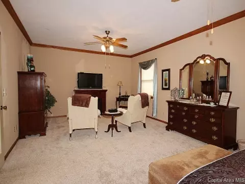 706 E Chestnut, Chatham, IL 62629 photo 12