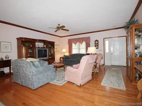 706 E Chestnut, Chatham, IL 62629 photo 3