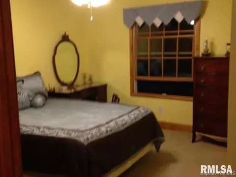 3812 Switchgrass Ct, Springfield, IL 62712 photo 15