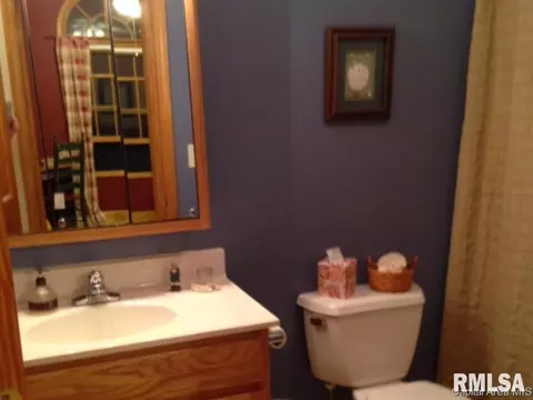 3812 Switchgrass Ct, Springfield, IL 62712 photo 17