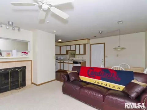 2421 Basil, Springfield, IL 62707 photo 11