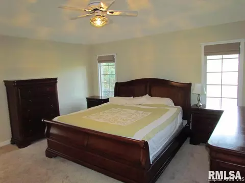 3 Abbey Ct, Chatham, IL 62629 photo 12