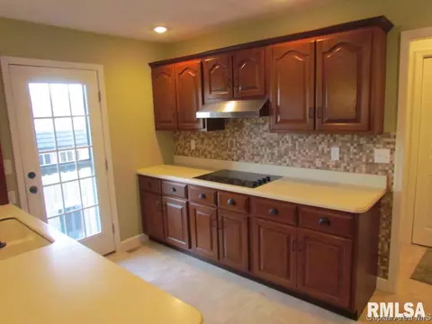 3 Abbey Ct, Chatham, IL 62629 photo 8