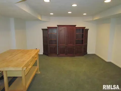 3 Abbey Ct, Chatham, IL 62629 photo 22