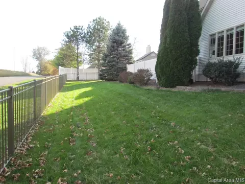 3 Abbey Ct, Chatham, IL 62629 photo 27