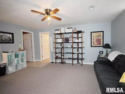 5101 Mountain View Dr, Springfield, IL 62711 photo 23