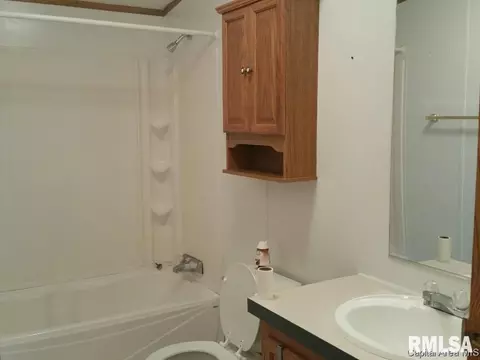 103 W State, Modesto, IL 62667 photo 9