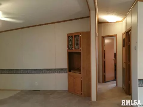 103 W State, Modesto, IL 62667 photo 8