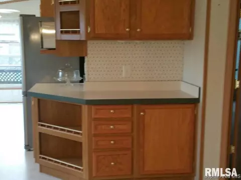 103 W State, Modesto, IL 62667 photo 17