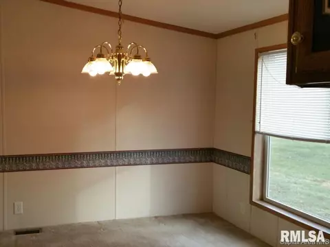 103 W State, Modesto, IL 62667 photo 7