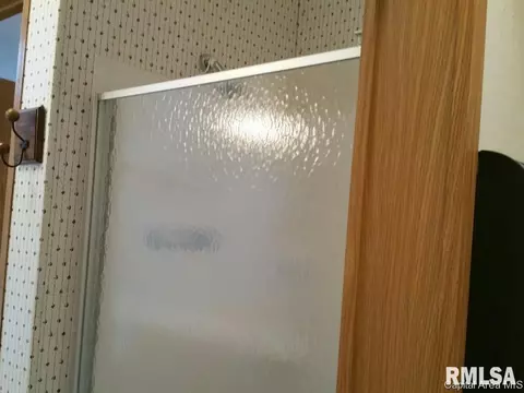 103 W State, Modesto, IL 62667 photo 23