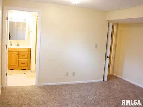 23 Sarah Ave, Springfield, IL 62703 photo 20