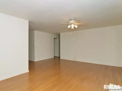 4213 Spaulding Orchard Rd, Springfield, IL 62711 photo 7