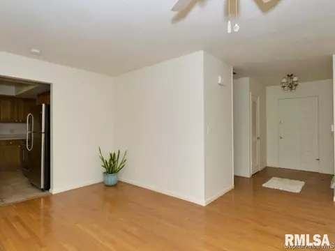 4213 Spaulding Orchard Rd, Springfield, IL 62711 photo 2