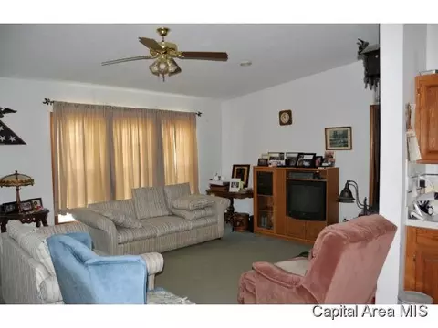1325 4th St, Pawnee, IL 62558 photo 2