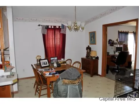 1325 4th St, Pawnee, IL 62558 photo 4