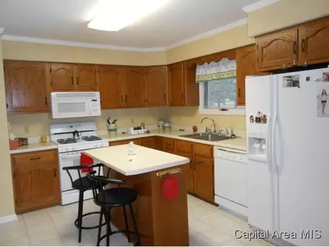 38 Sarah Ave, Springfield, IL 62703 photo 3