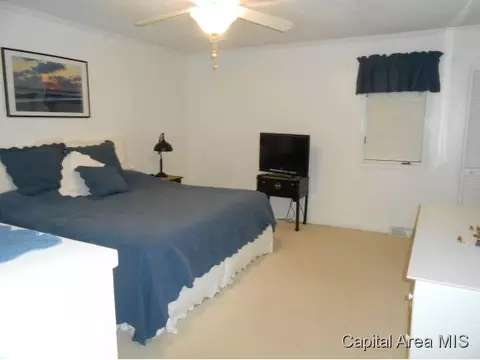 38 Sarah Ave, Springfield, IL 62703 photo 9