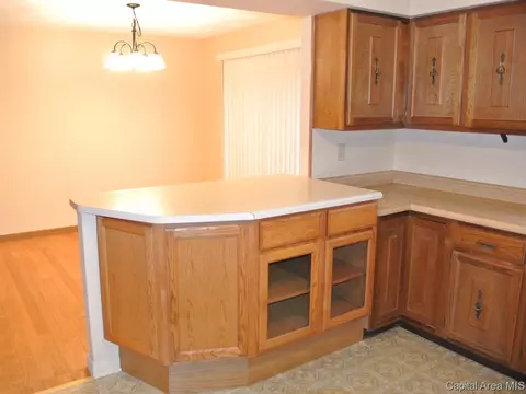 3124 Temple, Springfield, IL 62704 photo 13