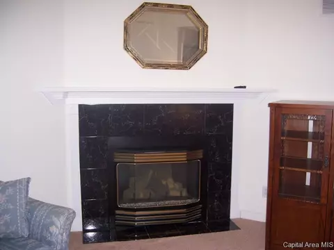 4018 Marryat, Springfield, IL 62711 photo 3
