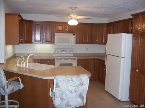 4018 Marryat, Springfield, IL 62711 photo 5