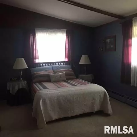 26 Bricker Little Swan Lake Cir, Avon, IL 61415 photo 34