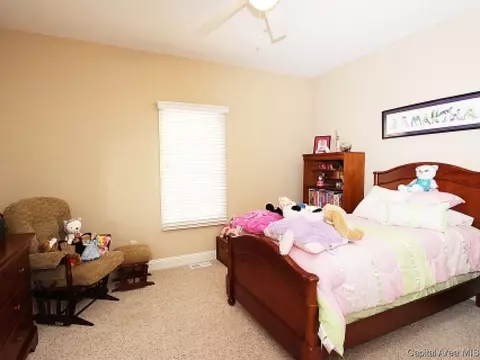 2313 Silver Stone Ct, Springfield, IL 62704 photo 21
