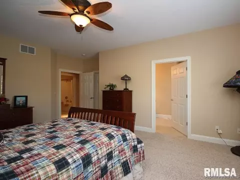 2313 Silver Stone Ct, Springfield, IL 62704 photo 16