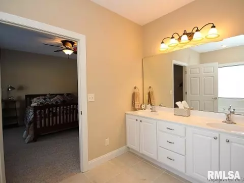 2313 Silver Stone Ct, Springfield, IL 62704 photo 19