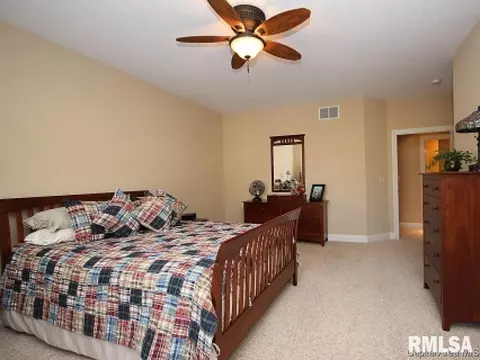 2313 Silver Stone Ct, Springfield, IL 62704 photo 17