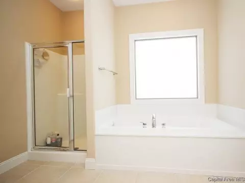 2313 Silver Stone Ct, Springfield, IL 62704 photo 18