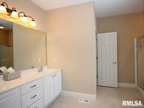 2313 Silver Stone Ct, Springfield, IL 62704 photo 20