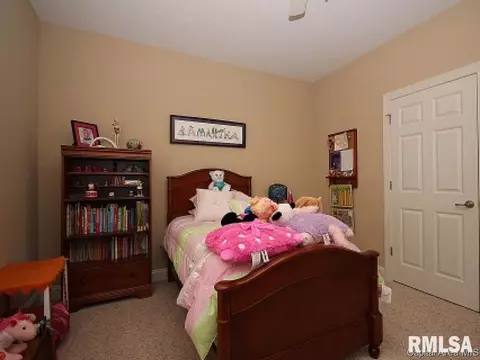 2313 Silver Stone Ct, Springfield, IL 62704 photo 22