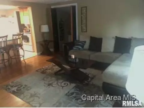 3202 Mars Ave, Springfield, IL 62707 photo 5