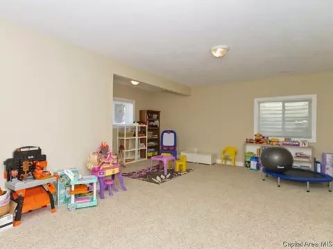 6424 Winterberry Ln, Springfield, IL 62712 photo 26