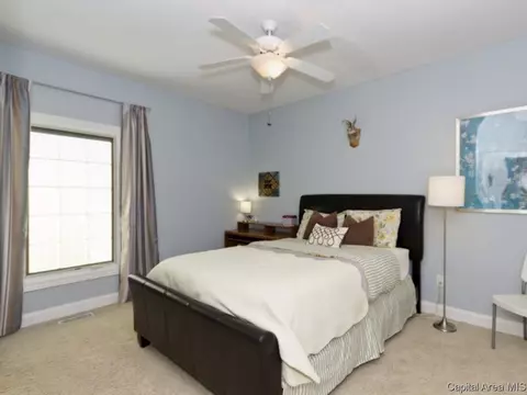 6424 Winterberry Ln, Springfield, IL 62712 photo 17