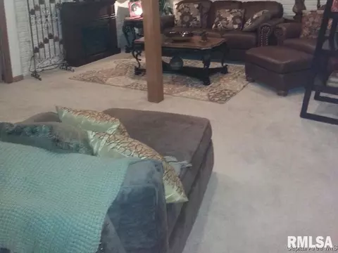 8201 Stirrup Ln, Springfield, IL 62712 photo 17