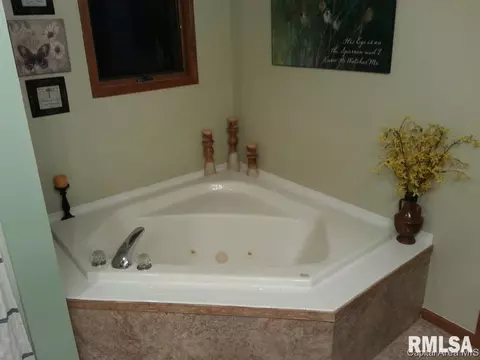 8201 Stirrup Ln, Springfield, IL 62712 photo 12