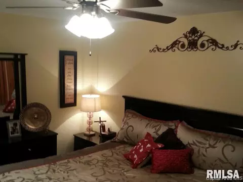 8201 Stirrup Ln, Springfield, IL 62712 photo 9