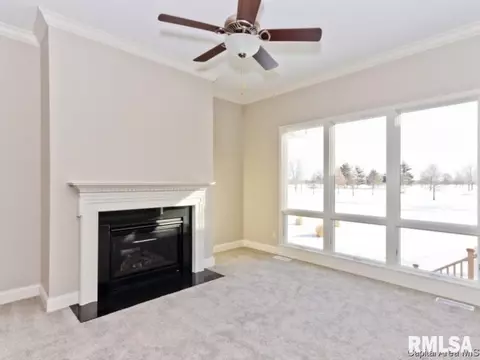 22 Mashie Ct, Springfield, IL 62707 photo 13