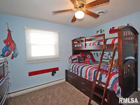 300 Saxon Dr, Springfield, IL 62704 photo 20