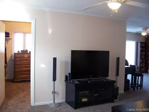 61 Providence Ln, Springfield, IL 62711 photo 18