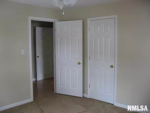 1421 N Franklin, Springfield, IL 62702 photo 13