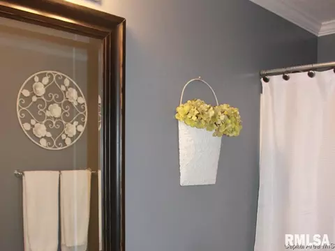 3705 Cranleigh Blvd, Springfield, IL 62712 photo 17