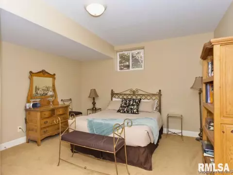 4312 Turtle Bay, Springfield, IL 62711 photo 21